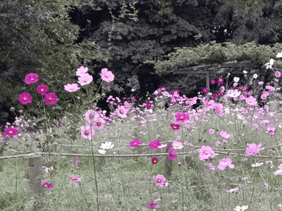 画像20