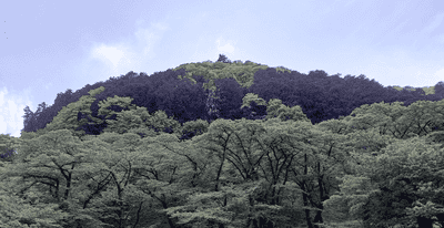 画像20