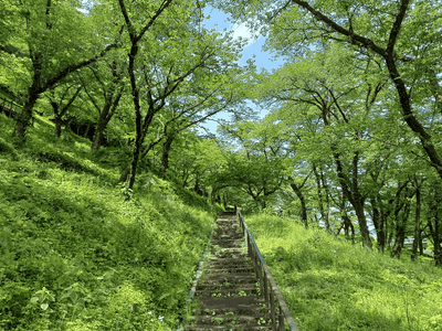 画像20